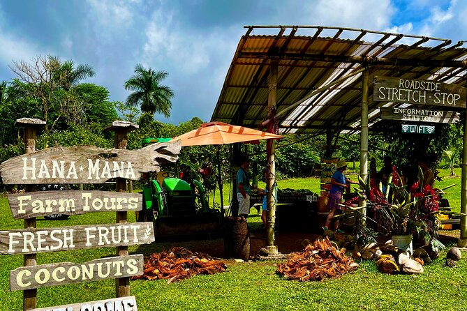 Maui Road to Hana VIP Private Tour in Convertible Bronco or Jeep - Who should book this VIP private tour—and who might not