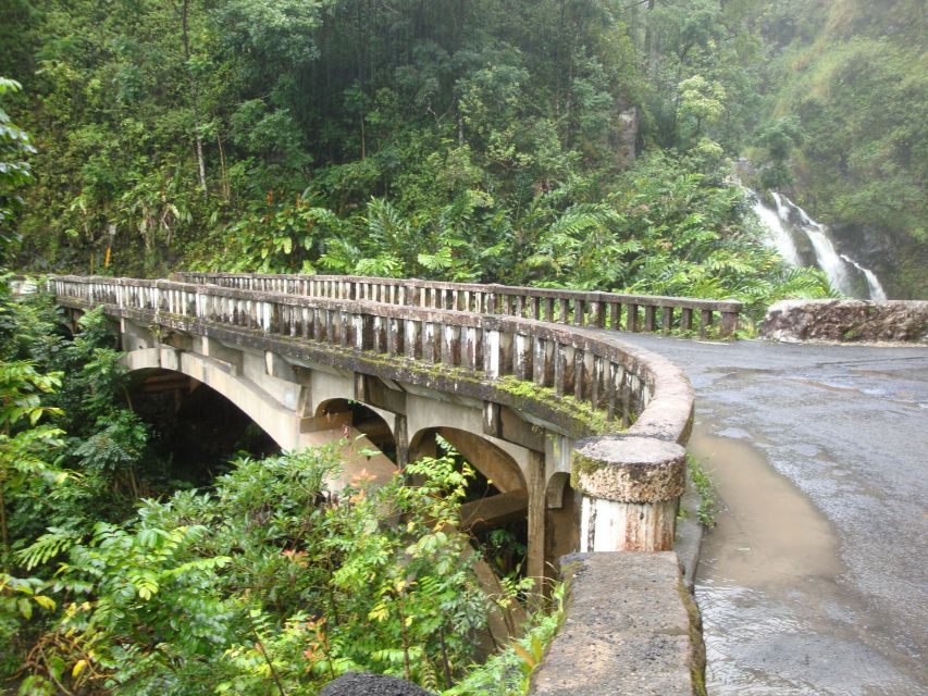 Maui: Road to Hana Waterfalls Tour with Lunch - Who Should Book This Tour (and Who Should Rethink It)