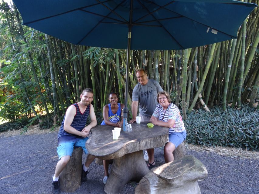 Maui: Road to Hana Waterfalls Tour with Lunch - Road to Hana Logistics: Pickup, A/C Comfort, and That Long Winding Day