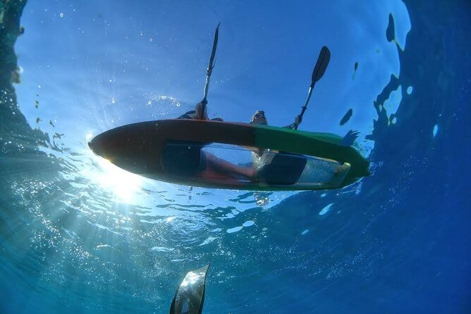 Maui's Only Clear Bottom Kayak Rental (priced per tandem kayak) - Key things worth knowing before you go