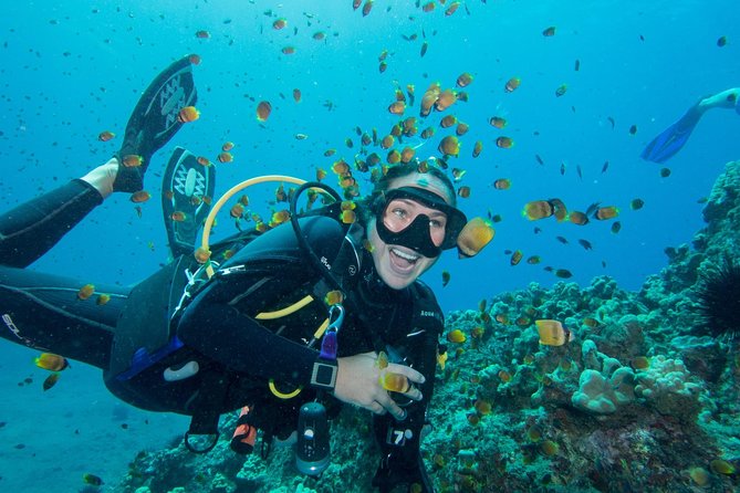 Maui Scuba Diving Introductory Lesson from Lahaina - Arriving in Lahaina: meet-up, timing, and what to bring
