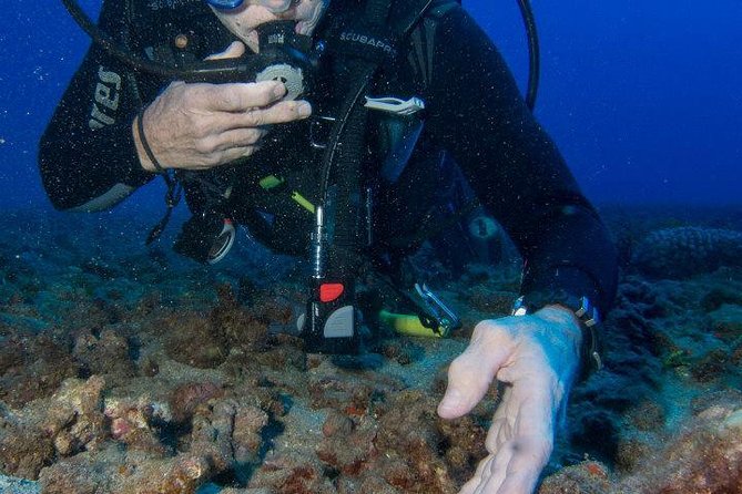 Maui Scuba Diving Introductory Lesson from Lahaina - The shore lesson first: how your confidence gets built