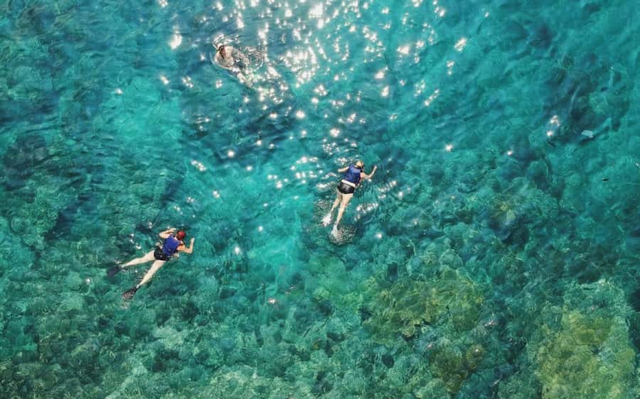 Maui: Semi-Private 3 Hour Eco-Raft Turtle Snorkel Tour - The 2-Hour Snorkeling Window: How They Set You Up for Success