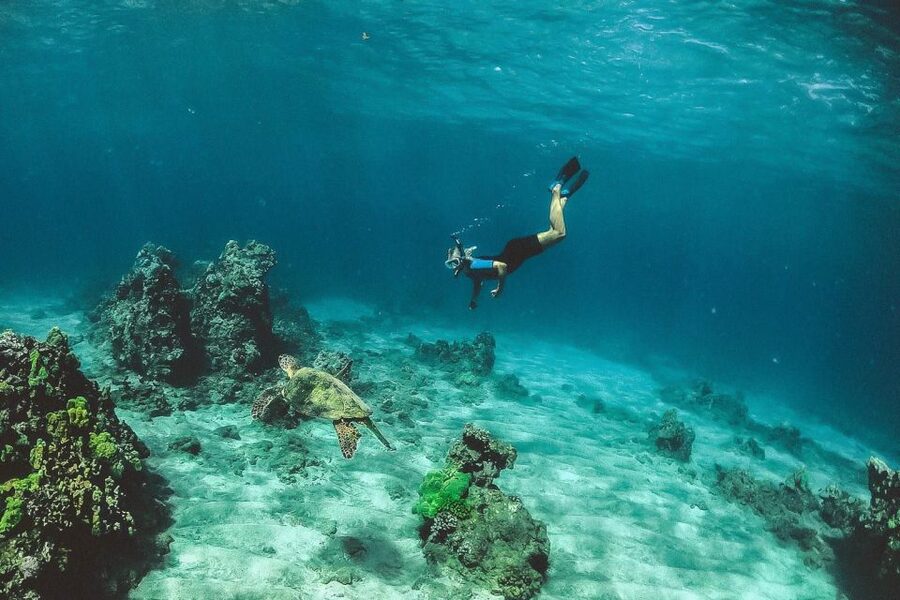 Maui: Semi-Private 3 Hour Eco-Raft Turtle Snorkel Tour - Safety and Who This Tour Is Built For