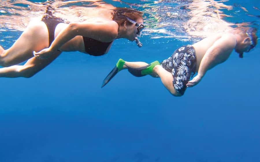 Maui: Semi-Private Eco-Raft Lanai Snorkel & Dolphin Tour - Key Things You’ll Notice on This Tour