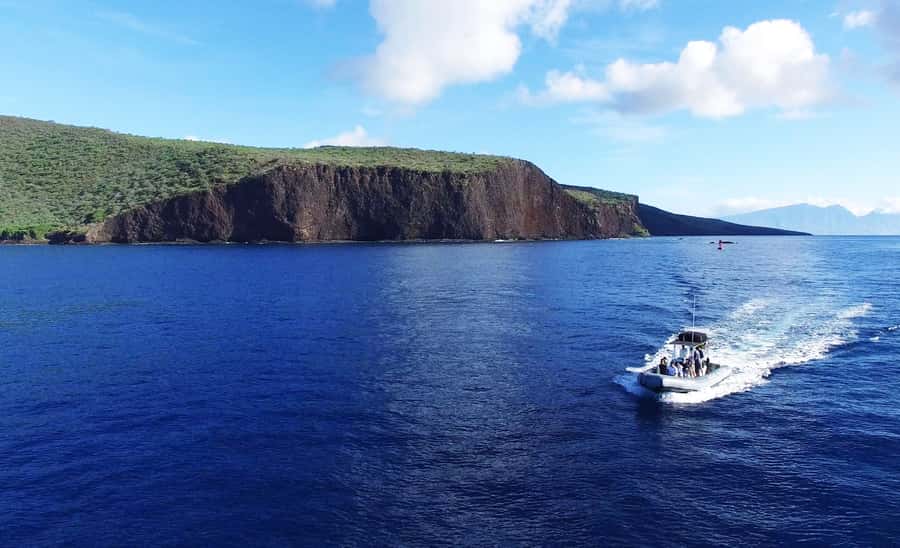 Maui: Semi-Private Eco-Raft Lanai Snorkel & Dolphin Tour - Price: Is $204 Worth It on Maui?