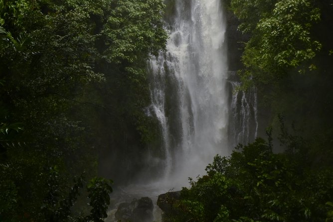 Maui Shore Excursions : Road to Hana With Pickup & Lunch - The bus ride: time, comfort, and what “8 hours” really feels like