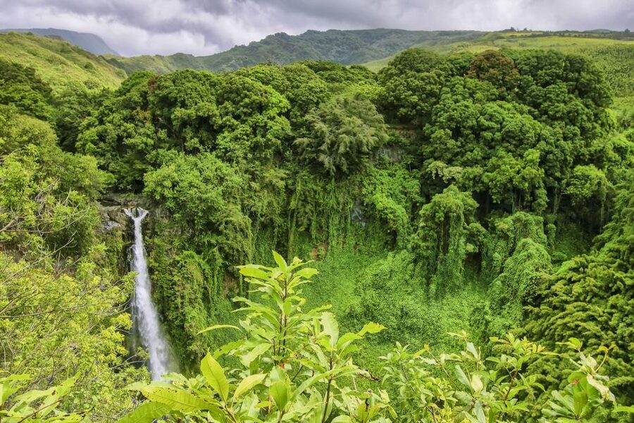 Maui: Small-Group Road to Hāna Sightseeing Tour - Road to Hāna Without the White-Knuckle Driving