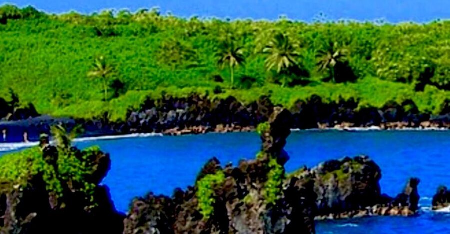 Maui: Small-Group Road to Hāna Sightseeing Tour - Morning Fuel: Fruit, Tropical Pastries, and a Fresh Start