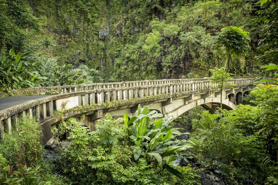Maui: Small-Group Road to Hāna Sightseeing Tour - Hoʻoleko Lookouts and the “Every Few Miles” Scenery Change