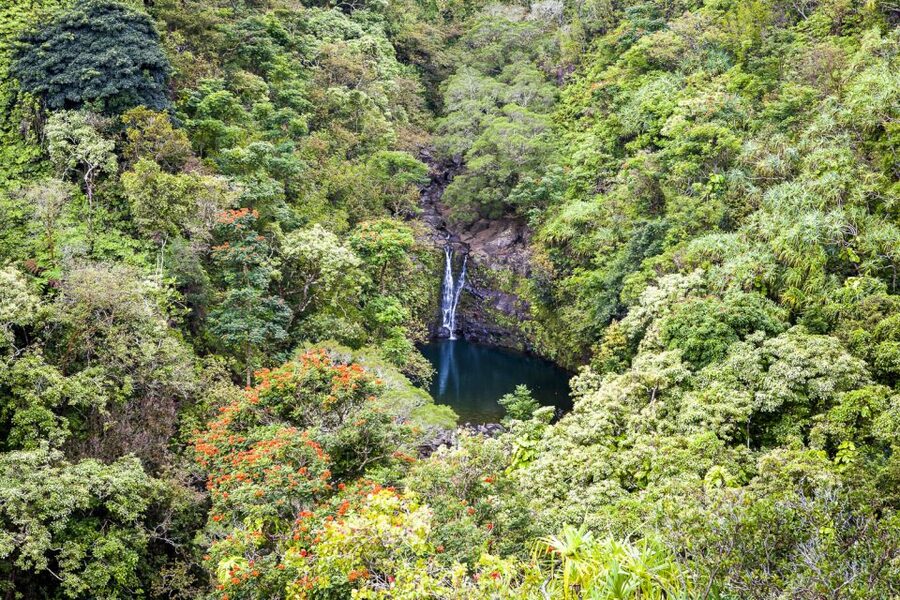 Maui: Small-Group Road to Hāna Sightseeing Tour - Keanae Peninsula, Bamboo Views, and Church Stops