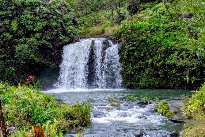 Maui: Small Group Road to Hāna Tour 6 to 8 passengers - Why the Road to Hāna feels easier in a small van