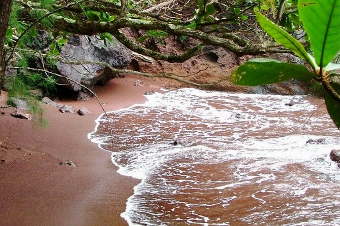 Maui: Small Group Road to Hāna Tour 6 to 8 passengers - Hana Bay, Koki Beach, and Wailua Falls: lots of small wins