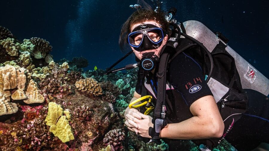 Maui: Small Group Shark & Turtle Scuba Dive from Shore - Gear and Tank Time: What Included Equipment Means for Your Day
