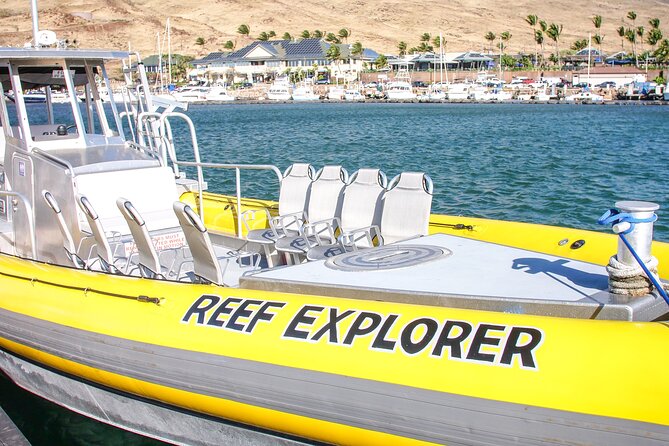 Maui Snorkel Adventure: Molokini Crater and Turtle Cove - Turtle Cove: Green Sea Turtles Without the Big-Boat Chaos