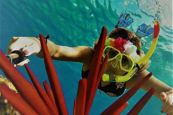 Maui Snorkel Adventure: Molokini Crater and Turtle Cove - Makena Beach: The Ride Gets You in Vacation Mode