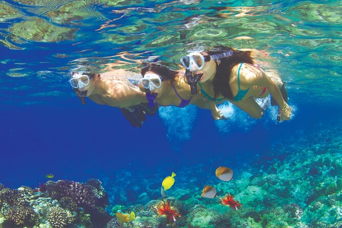 Maui Snorkel and Sunset Sail - Key things to know before you go