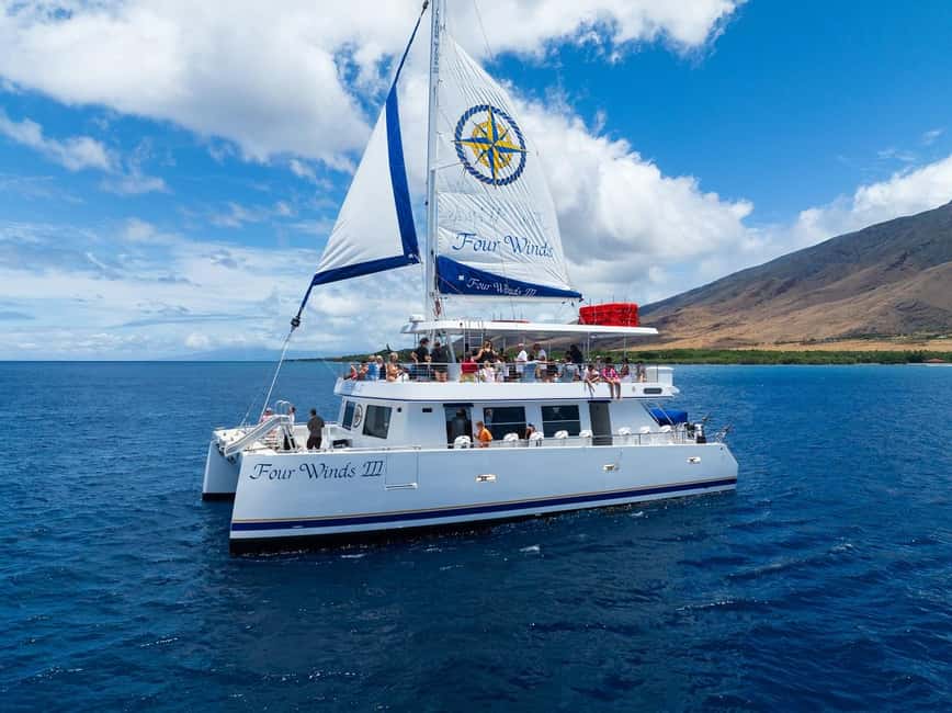 Maui: Snorkel Tour to Coral Gardens - Key Highlights You’ll Actually Care About on This Maui Snorkel Tour