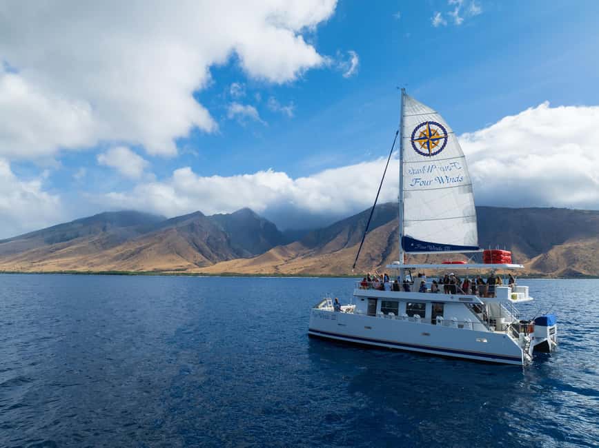 Maui: Snorkel Tour to Coral Gardens - Why Four Winds from Maalaea Works So Well for Families (and Beginners)