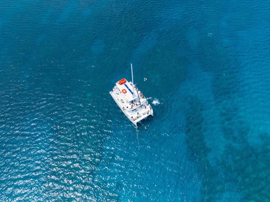 Maui: Snorkel Tour to Coral Gardens - Price and Value: Why $135 Can Be Fair (When You Compare What’s Included)