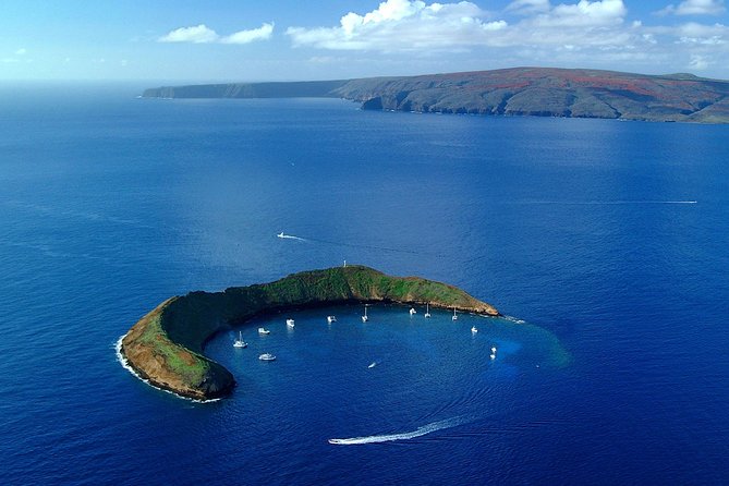 Maui Snorkeling Adventure to Molokini and Turtle Town - Molokini and Turtle Town: why this snorkeling combo matters
