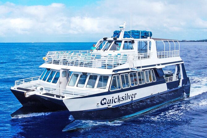 Maui Snorkeling Boat Tour to Turtle Town Aboard Quicksilver - Turtle Town or Coral Gardens: Where You’ll Snorkel and What You Should Expect