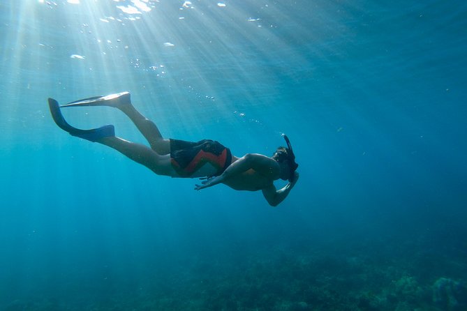 Maui Snorkeling Boat Tour to Turtle Town Aboard Quicksilver - Waterslide Fun vs. Real-Time Ocean Conditions