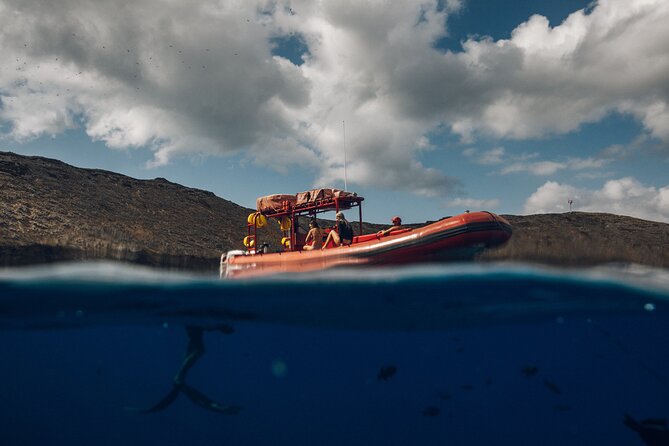 Maui South Coast and Molokini Crater Adventure from Kihei - Why the 7AM Start Changes Everything at Molokini