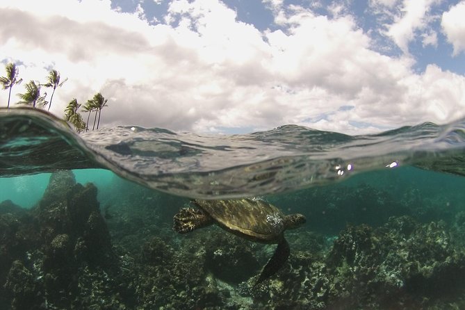 Maui South Coast and Molokini Crater Adventure from Kihei - Breakfast and Lunch: Included Fuel That Actually Helps