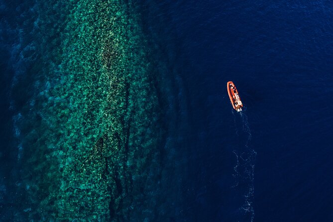 Maui South Coast and Molokini Crater Adventure from Kihei - La Perouse Bay: Lava Flows and Dolphin Habitat on the Way