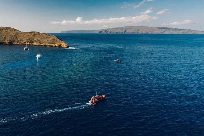 Maui South Coast and Molokini Crater Adventure from Kihei - Turtle Town: Green Sea Turtles Close Enough to Notice Details