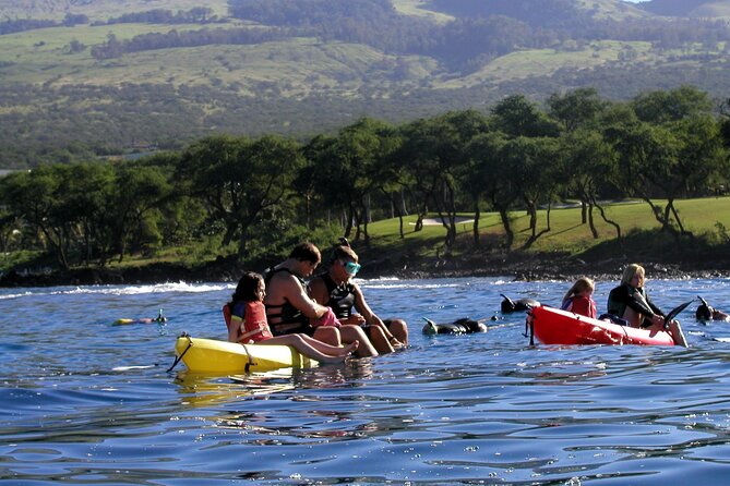 Maui South Shore Premier Kayak and Snorkel Tour from Makena Beach - Makena Bay at 7:00 am: fewer crowds, better wildlife odds