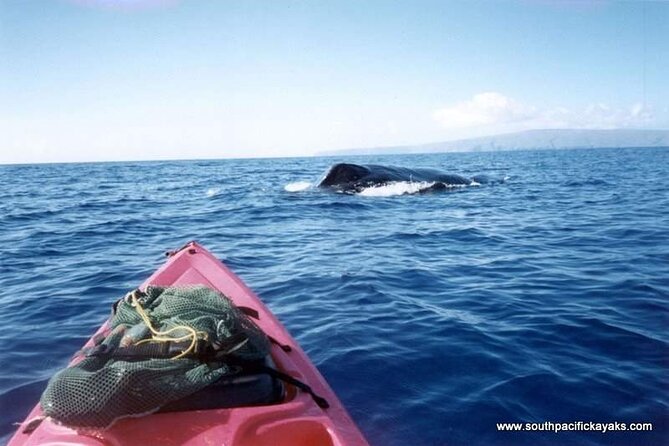 Maui South Shore Premier Kayak and Snorkel Tour from Makena Beach - Stop at Makena Beach: the launch point for the whole vibe