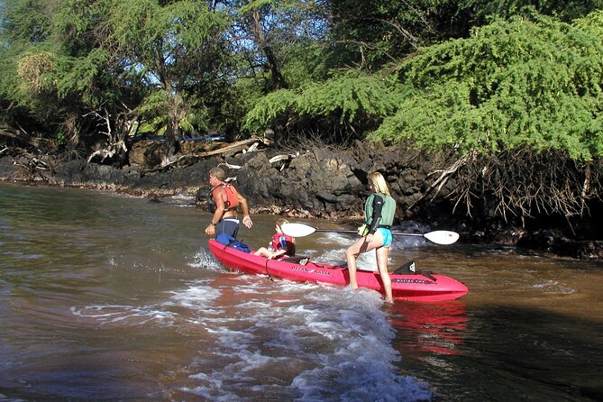Maui South Shore Premier Kayak and Snorkel Tour from Makena Beach - How the guide experience makes or breaks the trip