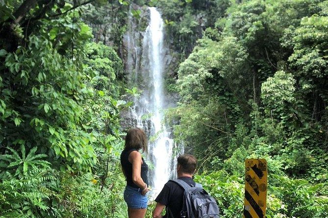 Maui Tour : Road to Hana Day Trip from Kahului Lunch, Water, Chip - What you’ll learn from the guides (beyond just directions)