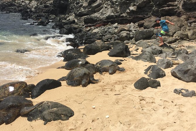 Maui Tour : Road to Hana Day Trip from Lahaina with Pick-up - Wai‘kani Waterfalls: the “right-side seat” picture trick