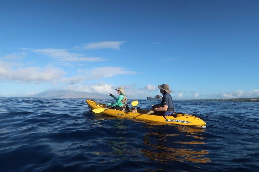 Maui: Turtle Town Kayak and Snorkel Tour - Key points to know before you go