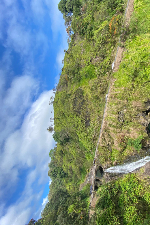 Maui: Van Day Trip to Hana with Local Guide and Lunch - Key things to know before you go