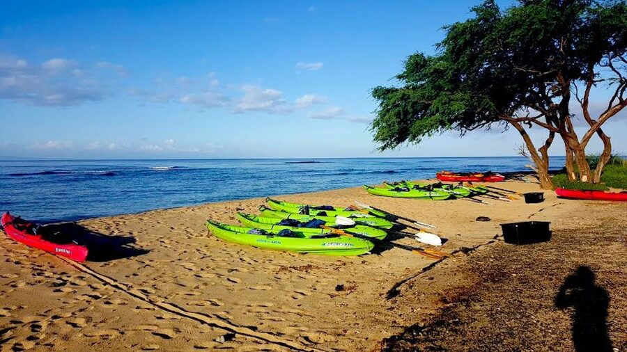 Maui: West Side Discovery Kayak & Snorkel from UKUMEHAME - Paddle the Olowalu or Ukumehame coast: pace, scenery, and wildlife odds