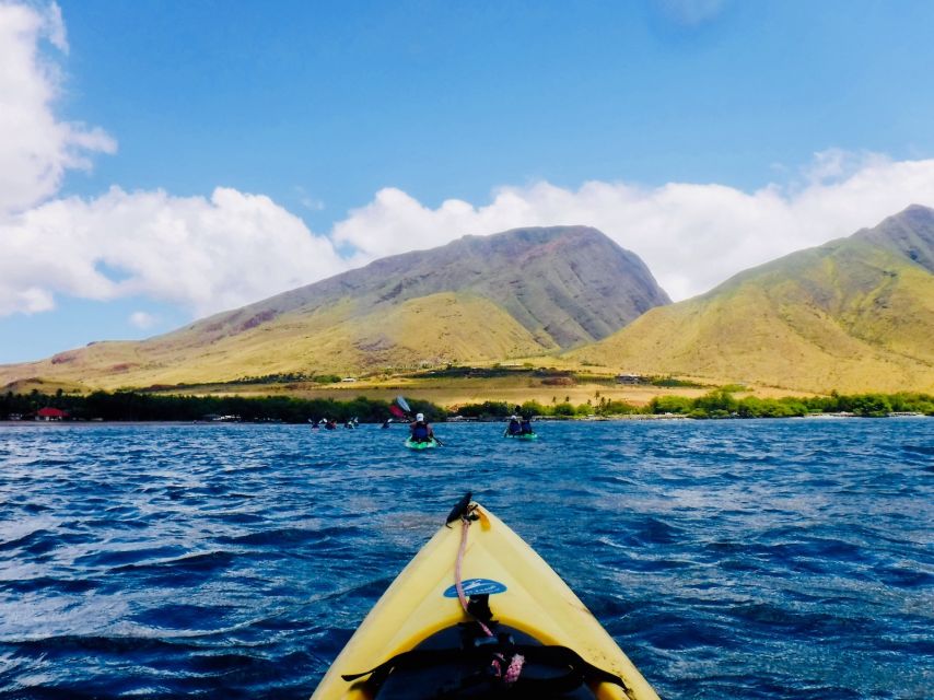 Maui: West Side Discovery Kayak & Snorkel from UKUMEHAME - Snorkel stops along the reef: what you do in the water