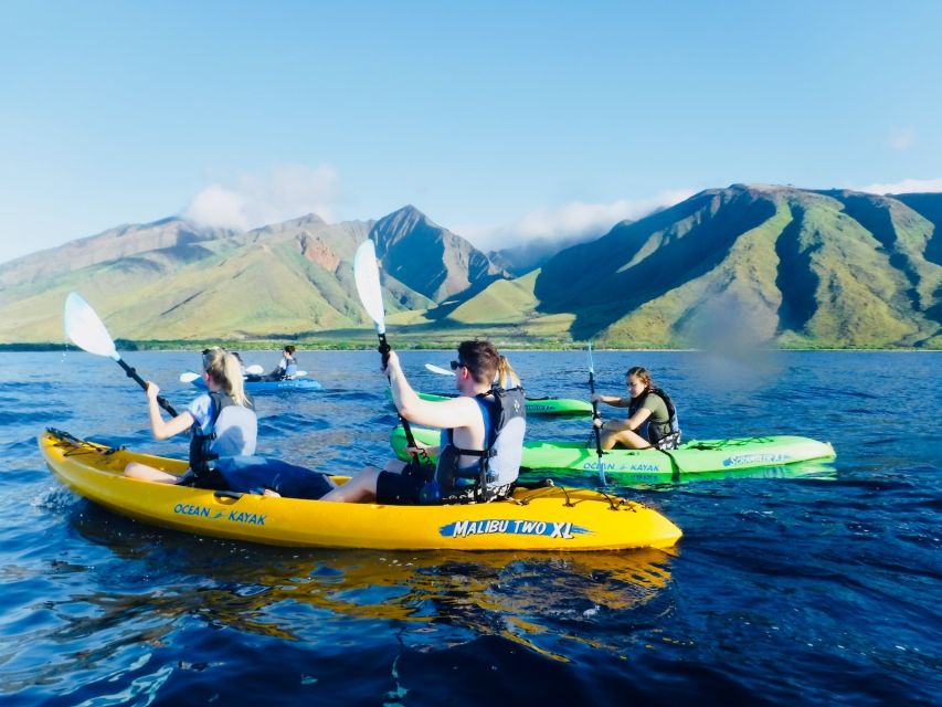Maui: West Side Discovery Kayak & Snorkel from UKUMEHAME - Whale season add-on: how humpbacks change the day