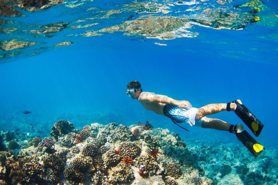 Maui: West Side Discovery Kayak & Snorkel from UKUMEHAME - Guides make the experience: Jake, John, and Matt styles