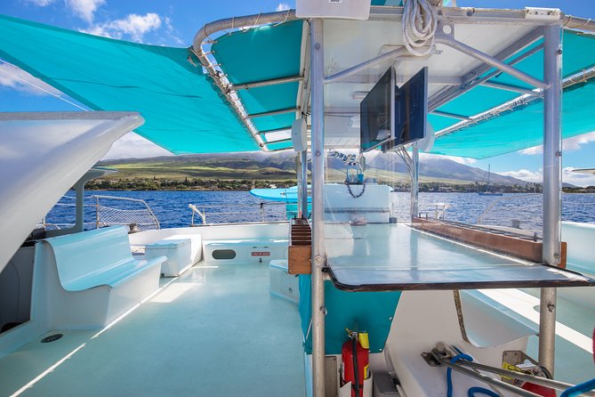 Maui: Whale Watching Cruise with Open Bar from Ka'anapali Beach - Two hours on West Maui: how sightings usually play out