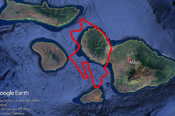Maui Whale Watching -PRIVATE- Air Tour: (2-5 People): SEE WHALES! - The Whale Spotting Zone: Overhead Views, Breaches, and Moms With Babies