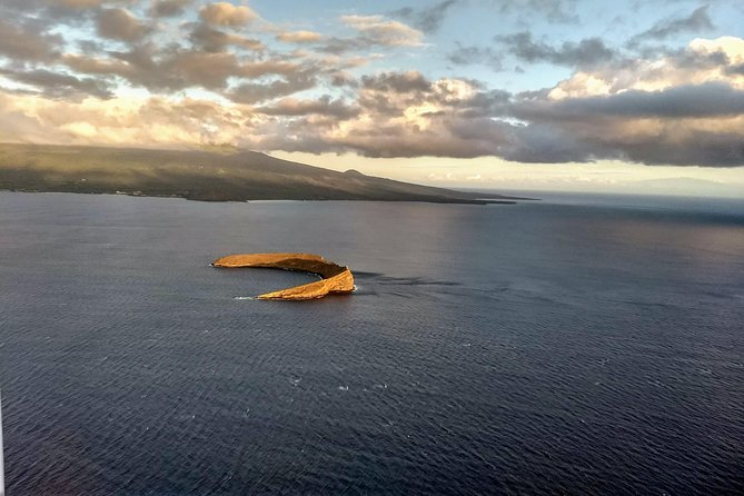 Maui Whale Watching -PRIVATE- Air Tour: (2-5 People): SEE WHALES! - Value Check: Is $420 Per Person Worth It