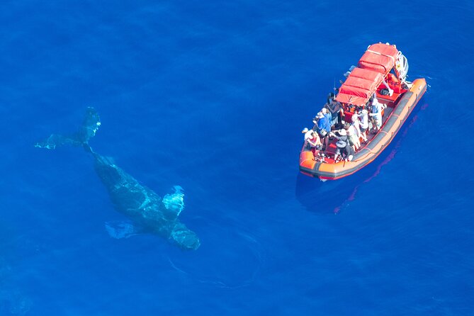 Maui Whale-Watching Tour by Raft from Kihei - The route from Kihei: what each pass is really for