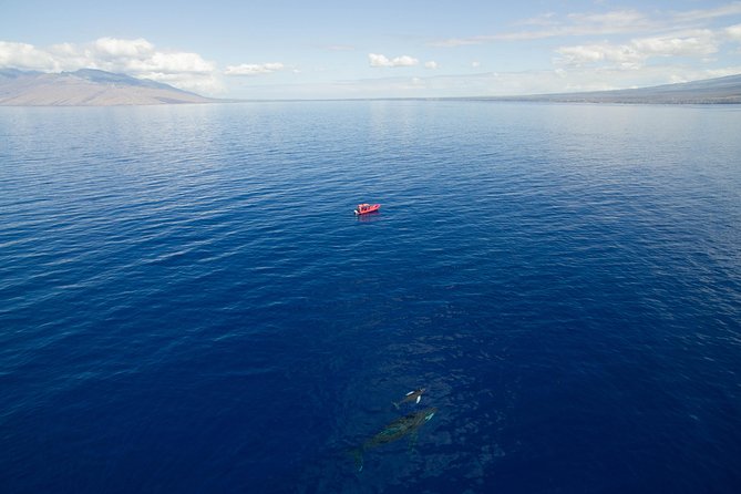 Maui Whale-Watching Tour by Raft from Kihei - Raft ride reality check: motion, spray, and who it fits