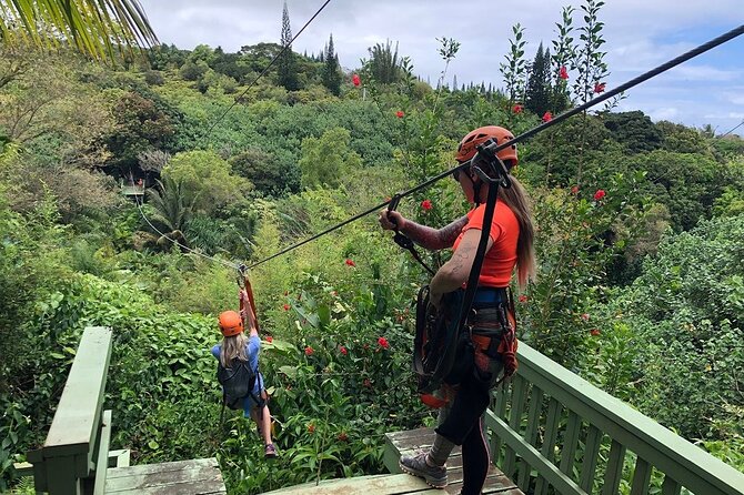 Maui Zipline Eco Adventure: 8 Lines through the Jungle - Key takeaways before you book