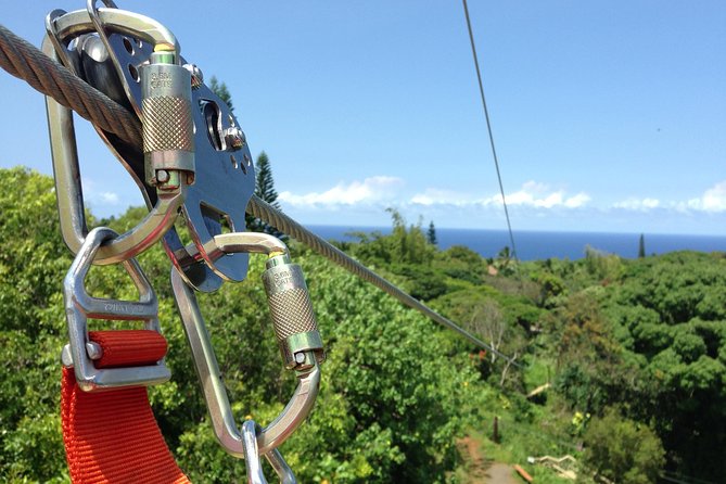 Maui Zipline Eco Adventure: 8 Lines through the Jungle - Maui Zipline Eco Adventure: 8 Lines through the Jungle in plain terms