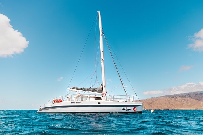Midday Whale Watch: Mā’alaea Harbor - Wind, Weather, and Why It Affects Your Sails